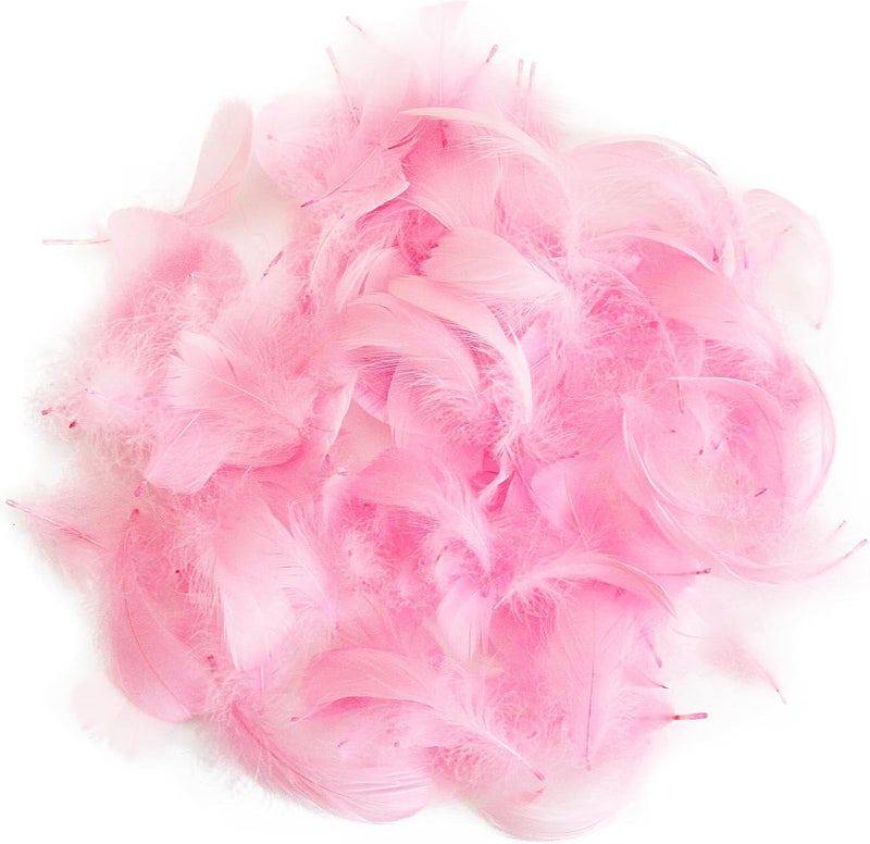 Lamar Feather 300pcs Pink Feathers 2-3 Inches Bulk Feathers for Crafting, Dream Catcher Accessories, Art Projects, DIY Crafting, Handi Crafts, Party Decoration (Light Pink) - Image 3